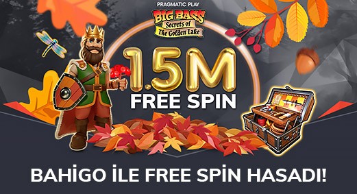 Free Spin Kampanyası